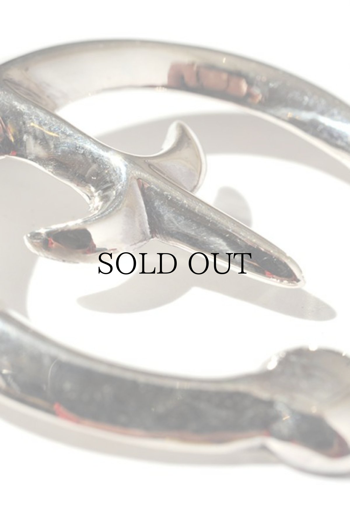 画像3: LARRY SMITH / NAJA TBT (3)