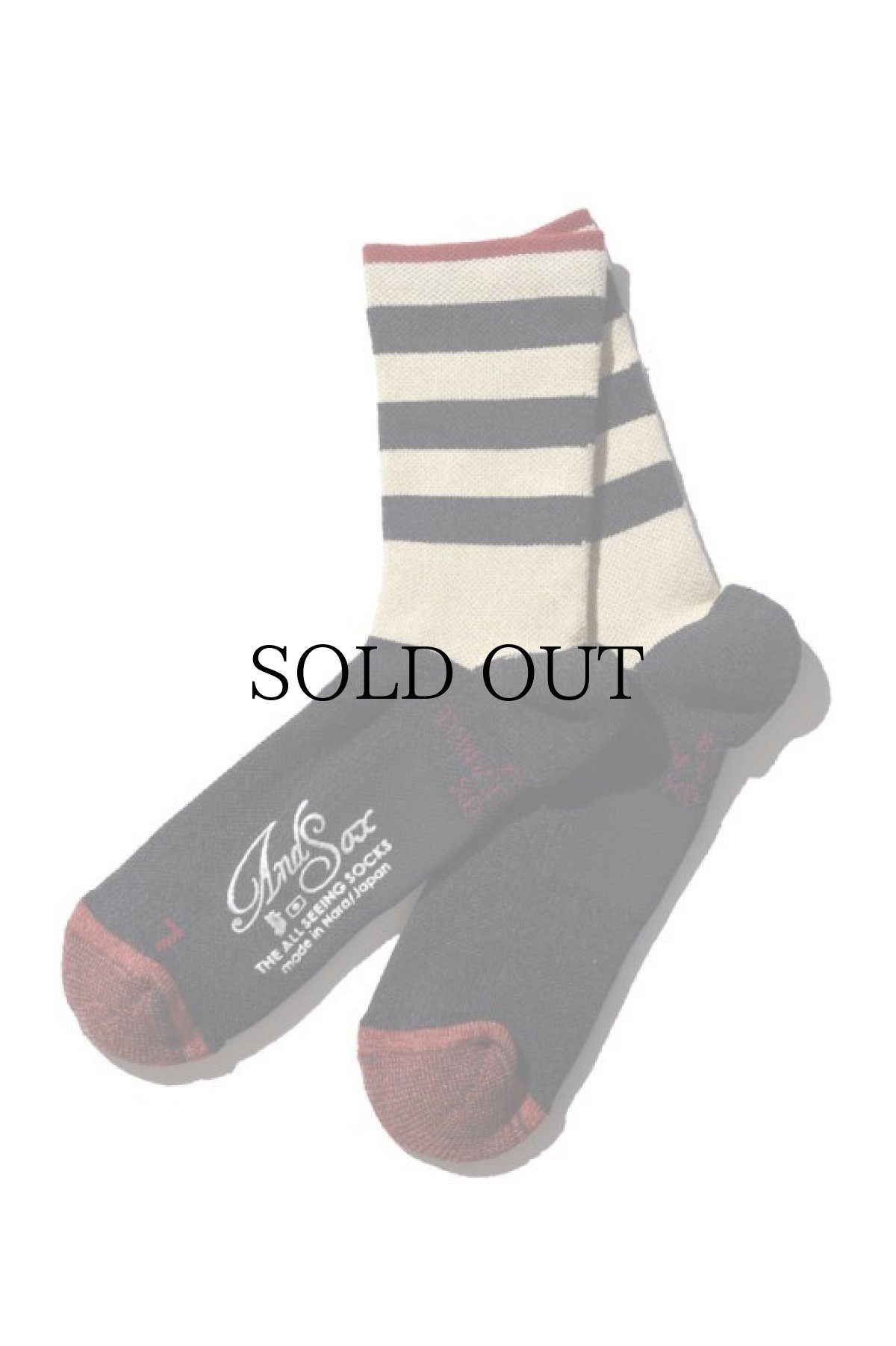 画像5: 【ANDSOX】SUPPORT PILE ANKLE (5)