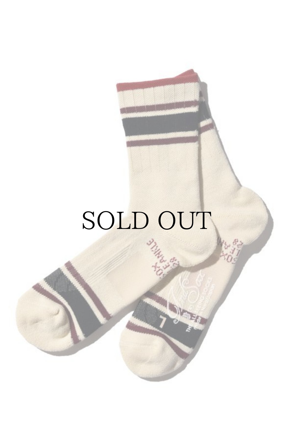 画像3: 【ANDSOX】SUPPORT PILE ANKLE (3)