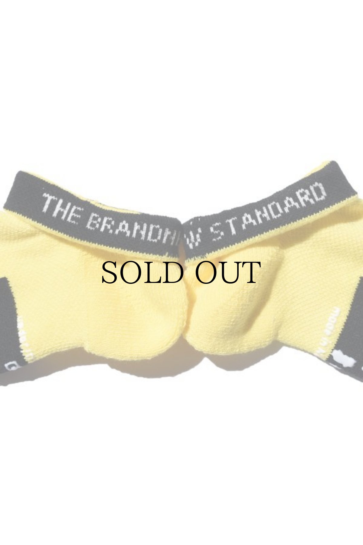 画像6: 【ANDSOX】SUPPORT PILE SHORT (6)