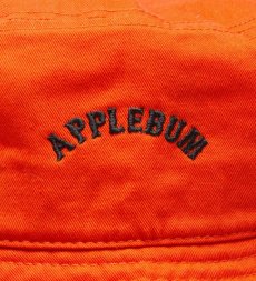 画像6: APPLEBUM / Arch Logo Hat (6)