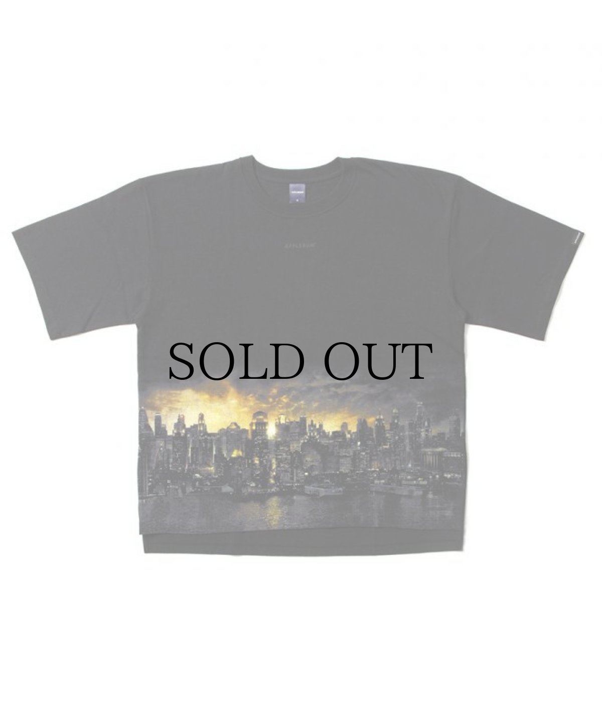 画像1: APPLEBUM / “Gotham City” Big T-shirt (1)