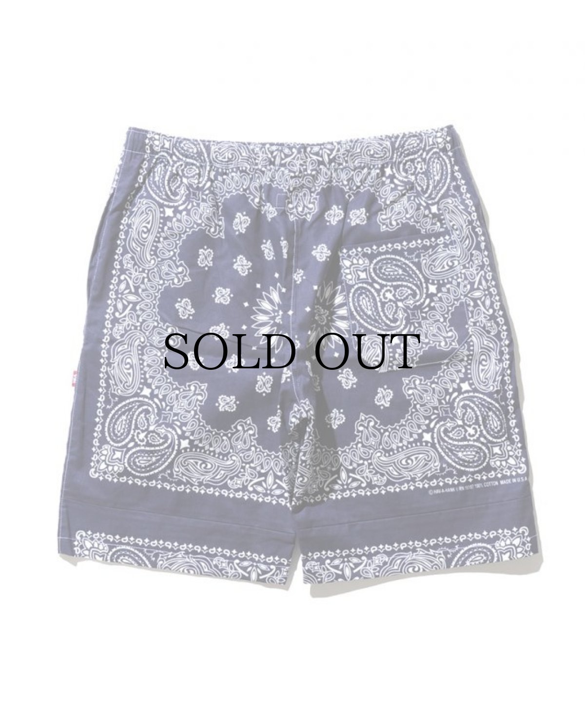 画像3: HIDEANDSEEK / Bandanna Short (3)