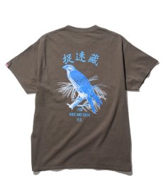 画像5: HIDEANDSEEK / Hawk S/S Tee (5)