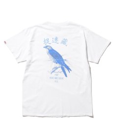 画像1: HIDEANDSEEK / Hawk S/S Tee (1)