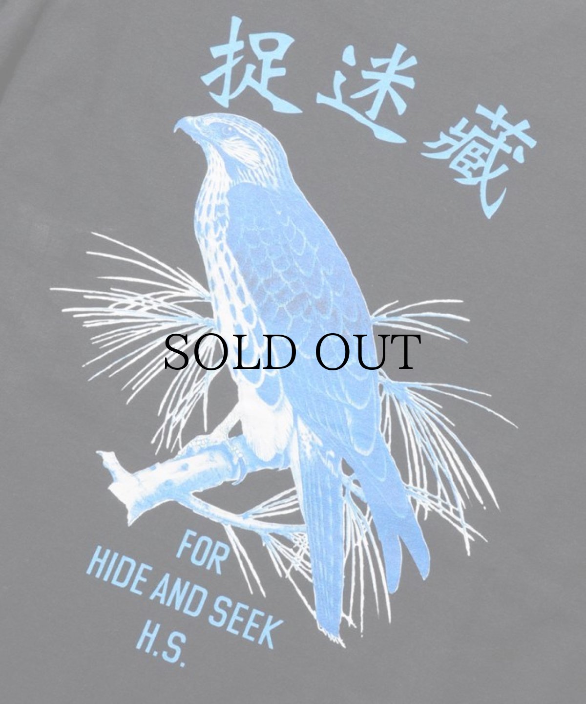 画像8: HIDEANDSEEK / Hawk S/S Tee (8)