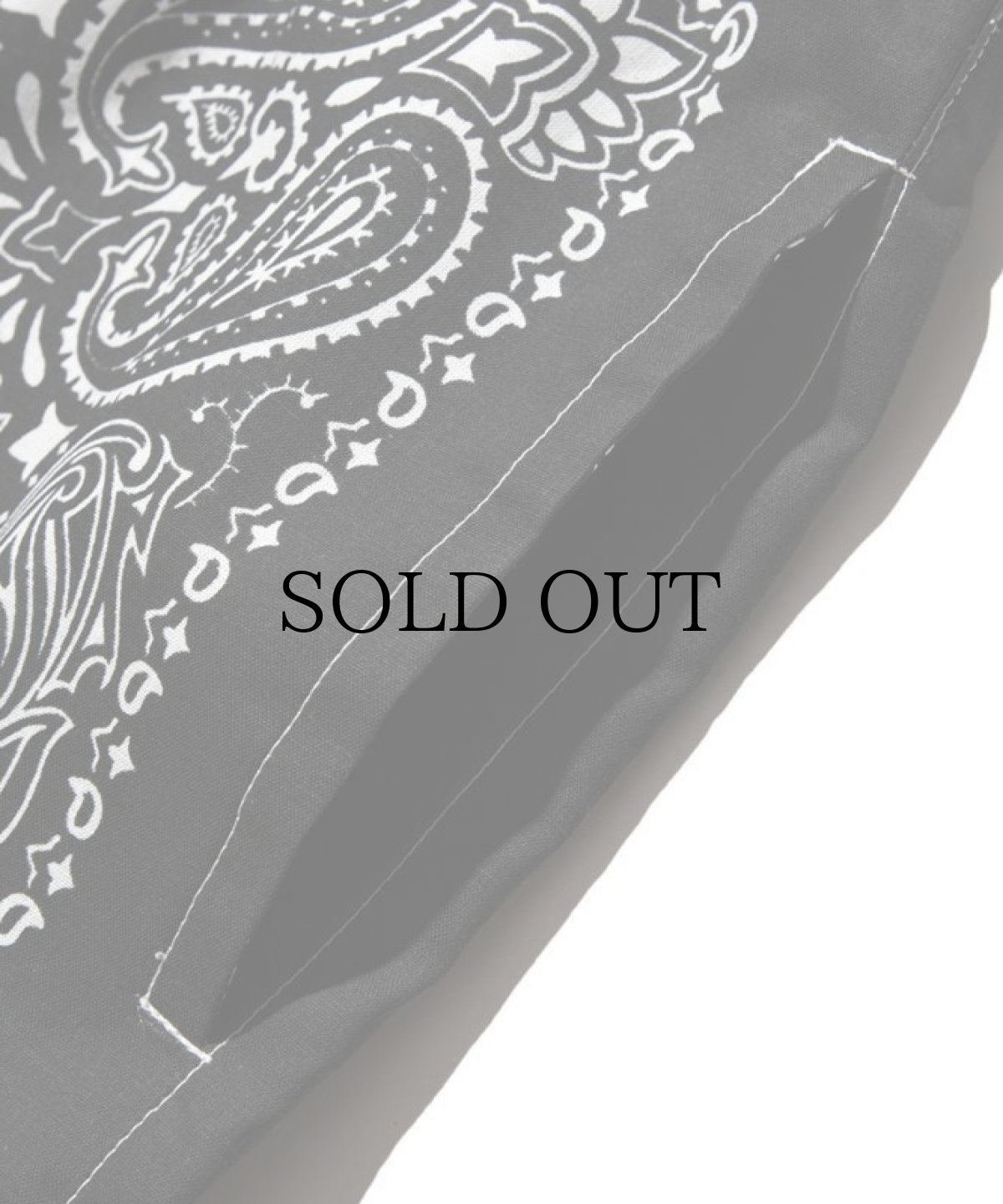 画像3: HIDEANDSEEK / Bandanna Easy Pant (3)