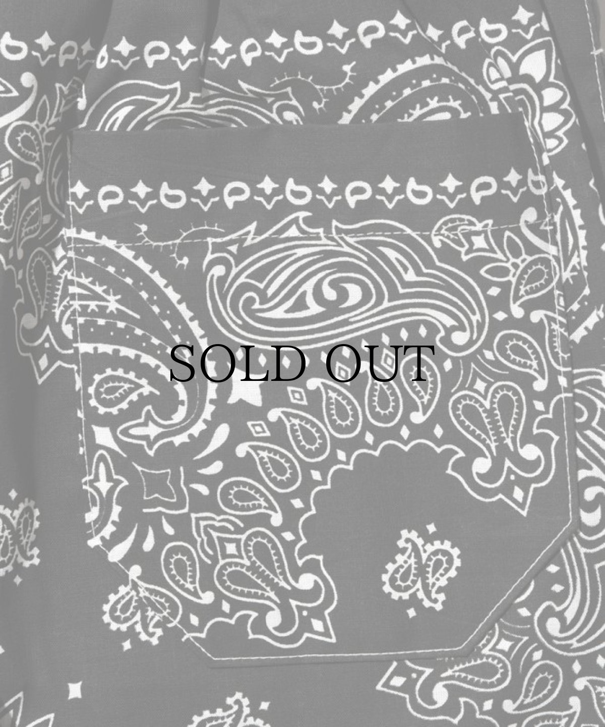 画像7: HIDEANDSEEK / Bandanna Easy Pant (7)