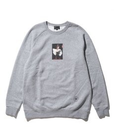 画像2: 【50%OFF】 ACAPULCO GOLD / TRANS-LUX RAGLAN SLEEVE CREW SWEAT (2)