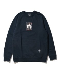 画像3: 【50%OFF】 ACAPULCO GOLD / TRANS-LUX RAGLAN SLEEVE CREW SWEAT (3)