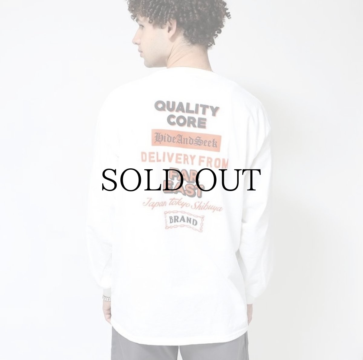 画像9: HIDEANDSEEK / Flyer L/S Tee (9)