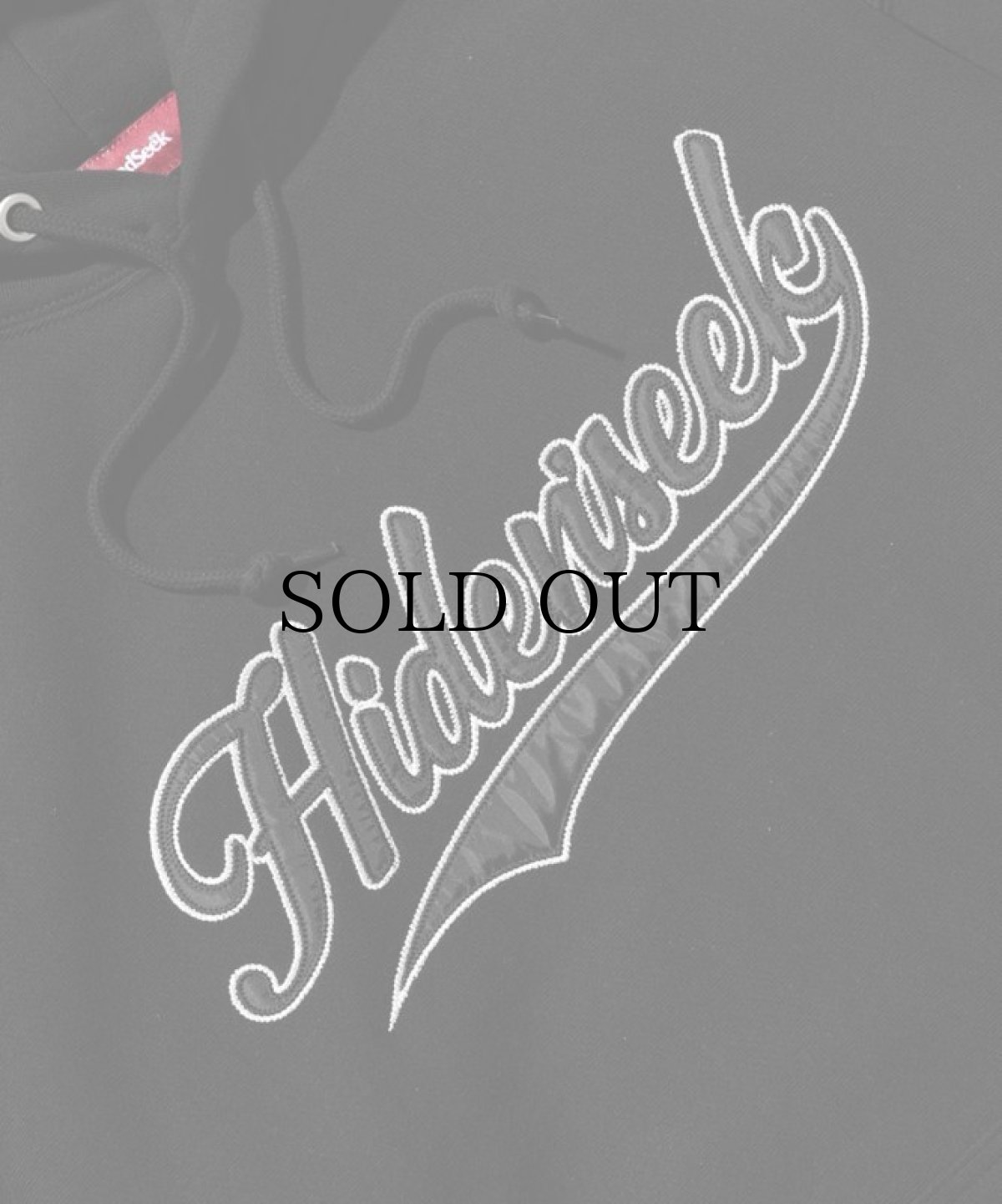 画像3: HIDEANDSEEK / Hooded College Sweat Shirt (3)