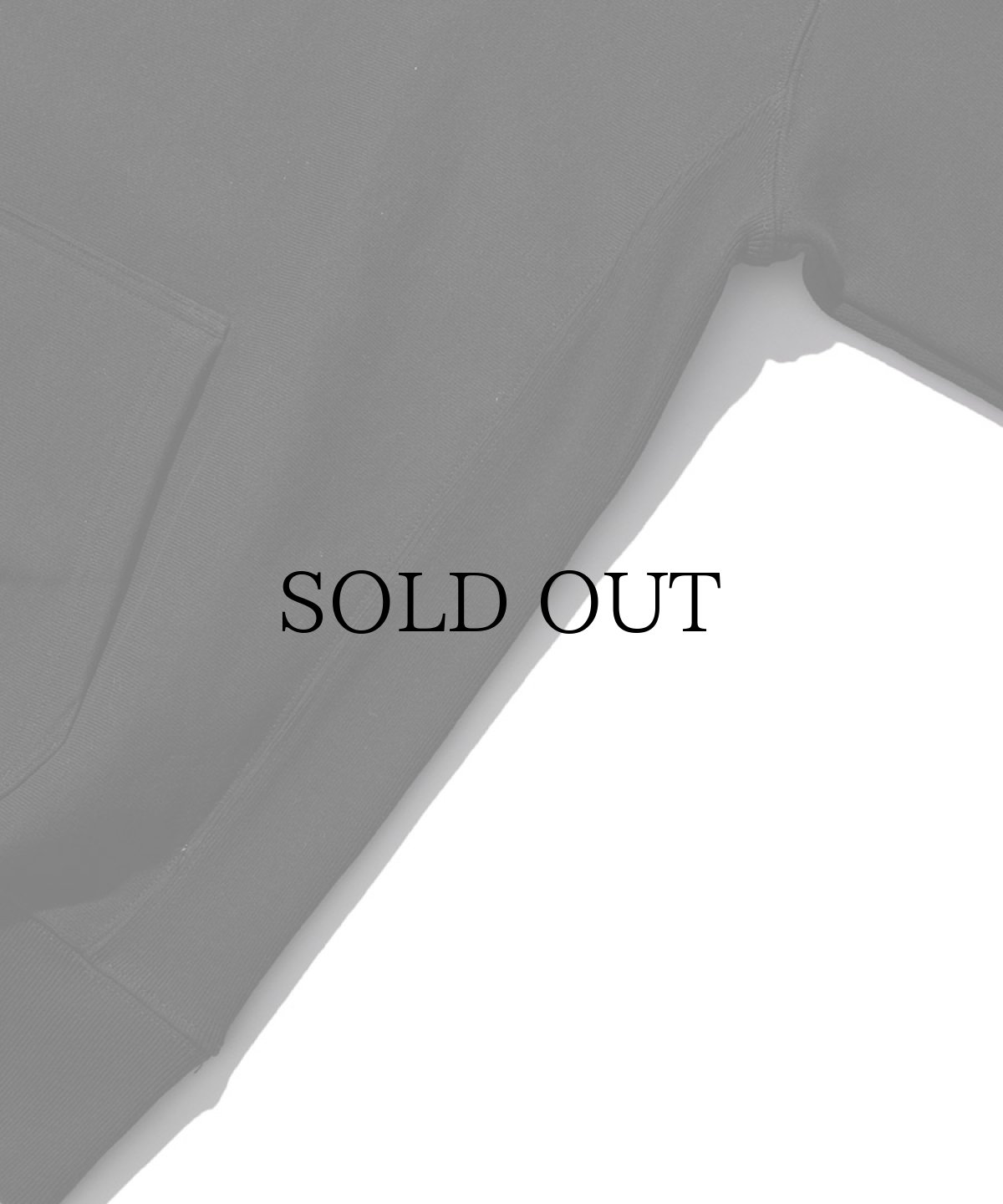 画像4: HIDEANDSEEK / Hooded College Sweat Shirt (4)