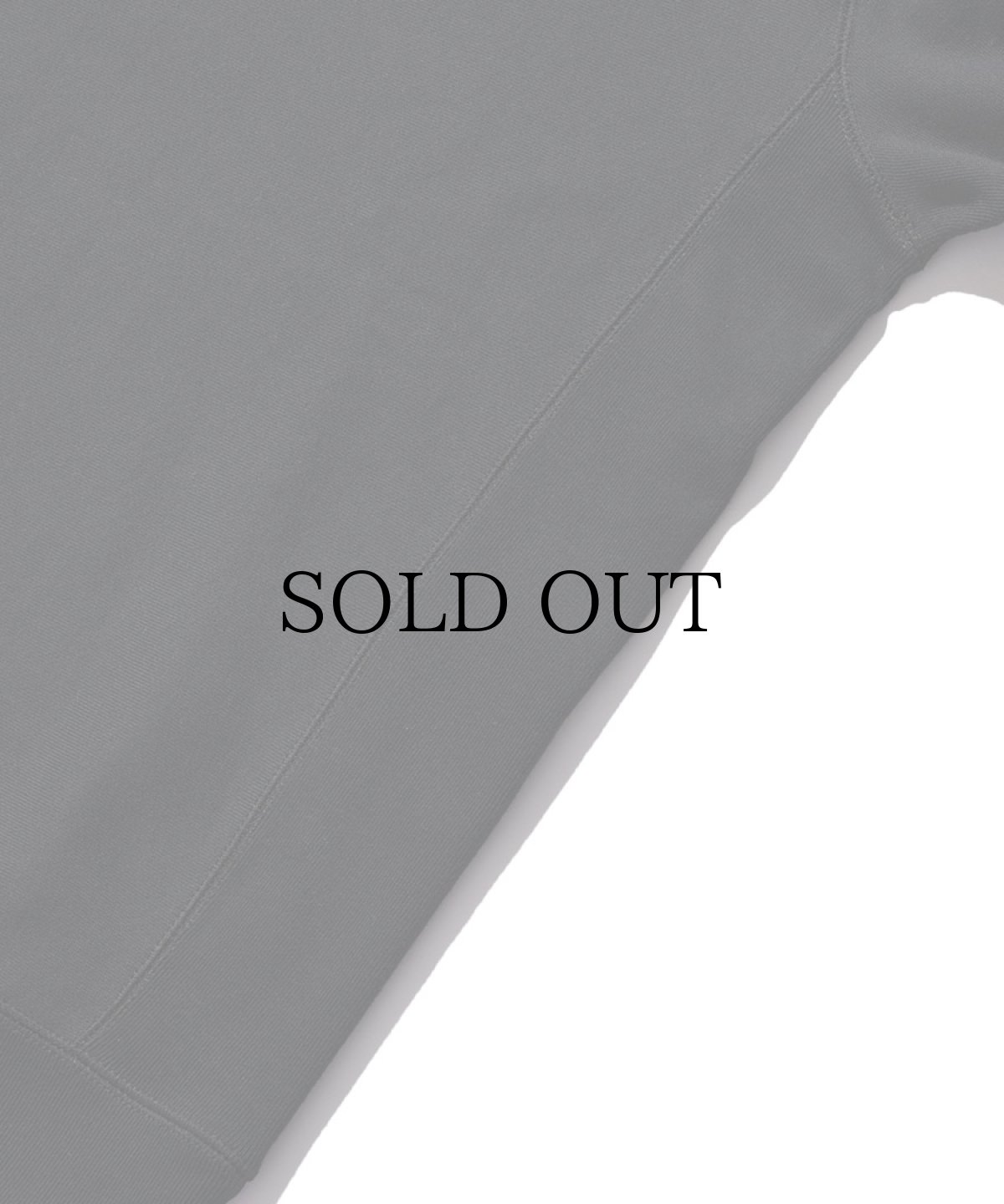 画像4: HIDEANDSEEK / Logo Hooded Sweashirt(21ss) (4)