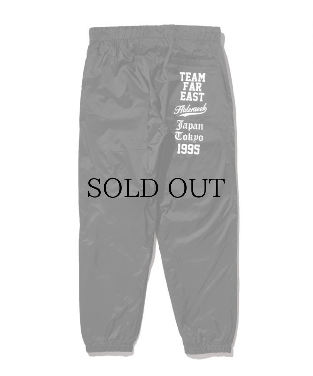 画像2: HIDEANDSEEK / Nylon Pant(21ss) (2)