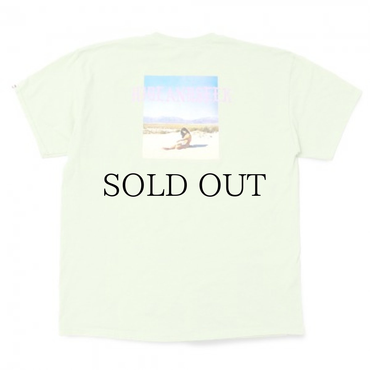 画像3: HIDEANDSEEK / Desert S/S Tee (3)