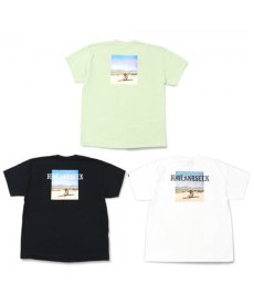 画像1: HIDEANDSEEK / Desert S/S Tee (1)