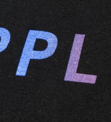 画像11: APPLEBUM / Gradation Logo T-shirt (Knickerbocker) (11)