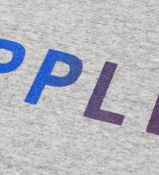 画像12: APPLEBUM / Gradation Logo T-shirt (Knickerbocker) (12)