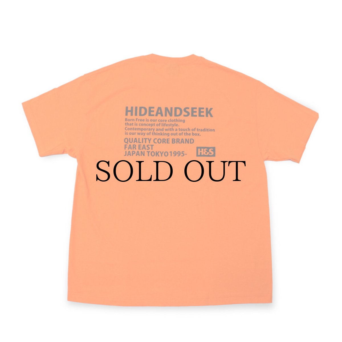 画像3: HIDEANDSEEK / Tag S/S Tee(21aw) (3)