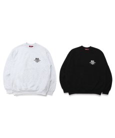 画像1: HIDEANDSEEK / Logo Sweat Shirt(Heavy) (1)