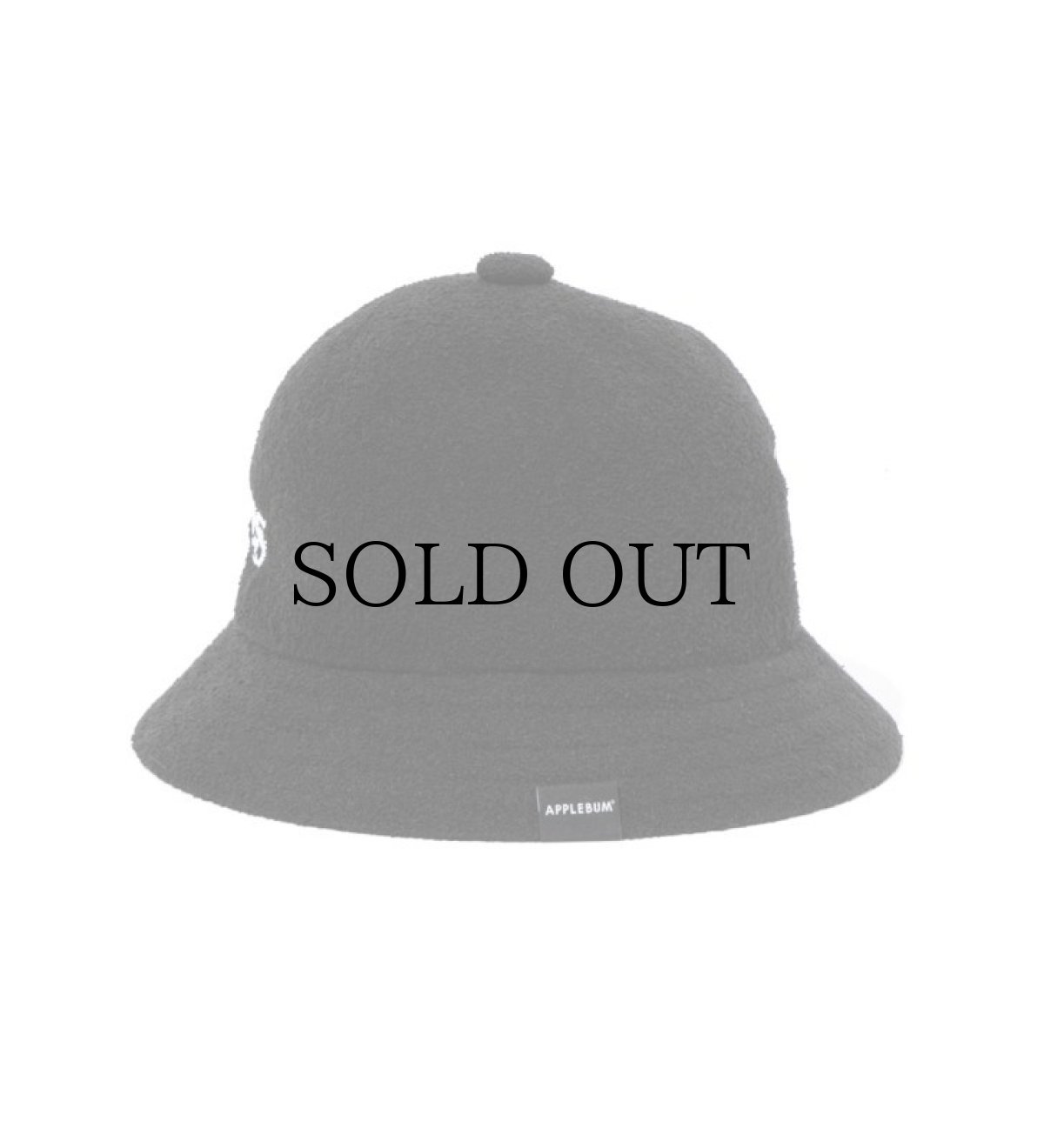 画像3: APPLEBUM / KANGOL Hat (3)