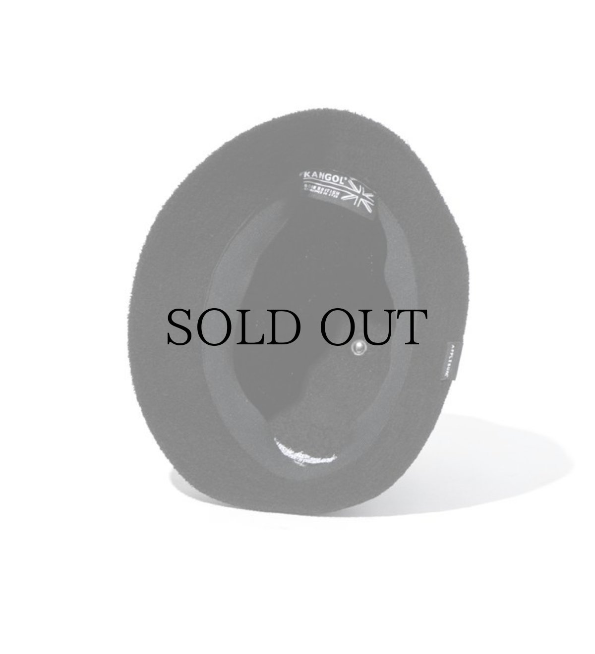 画像5: APPLEBUM / KANGOL Hat (5)