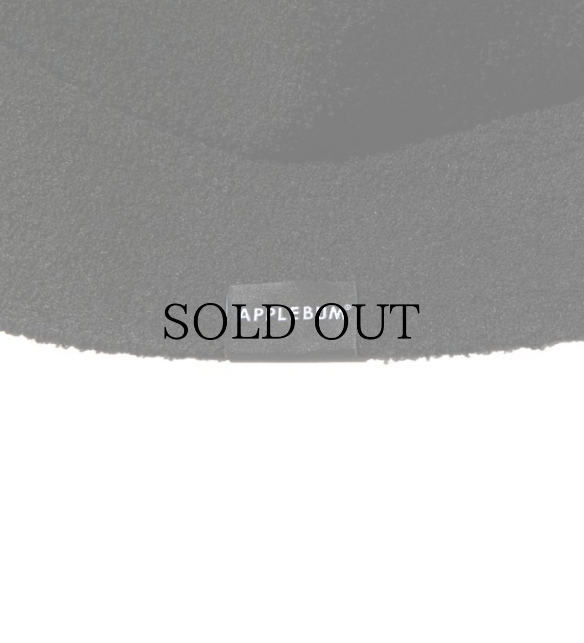 画像8: APPLEBUM / KANGOL Hat (8)