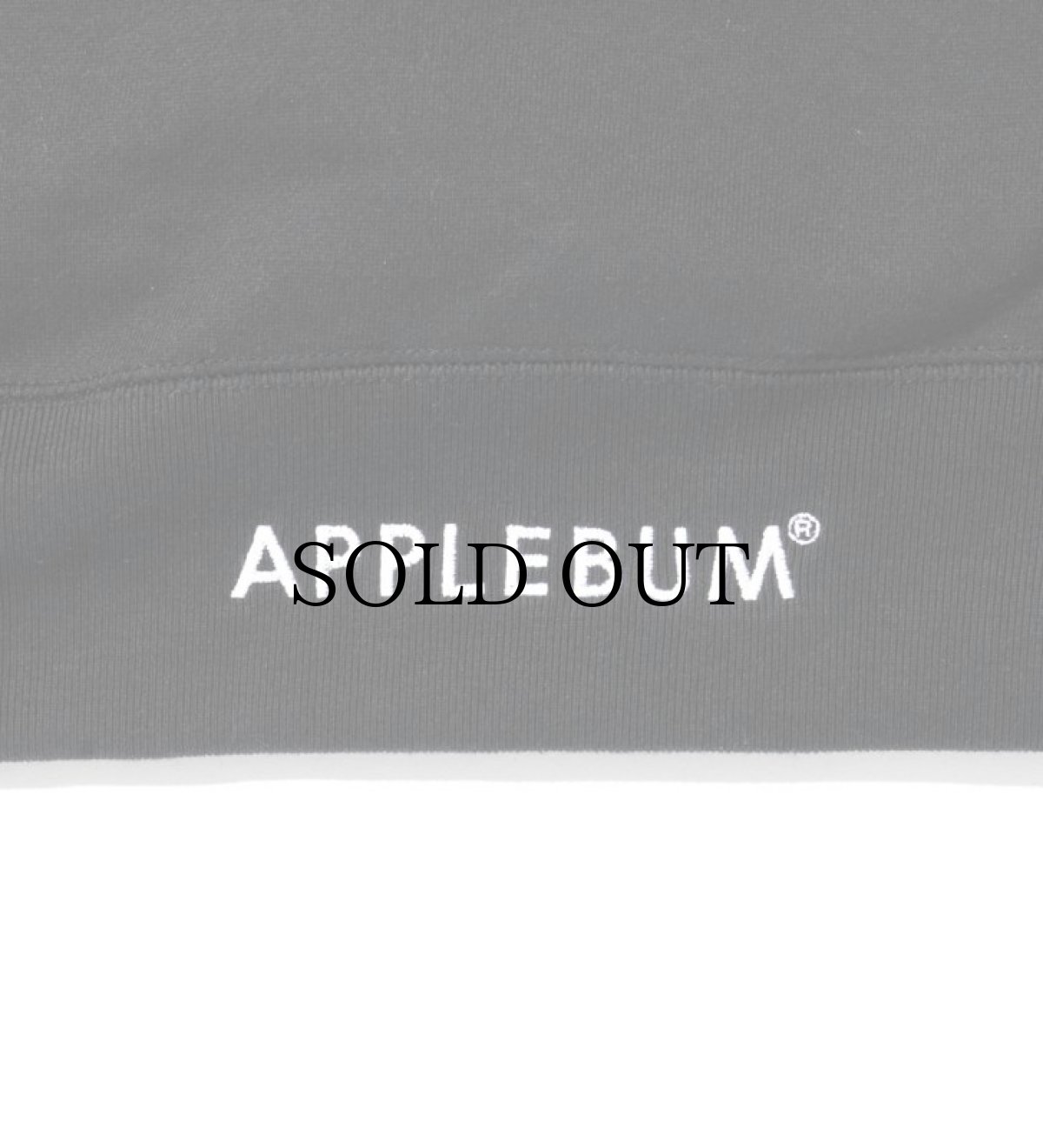 画像7: APPLEBUM / “illmatic” Sweat Parka (7)