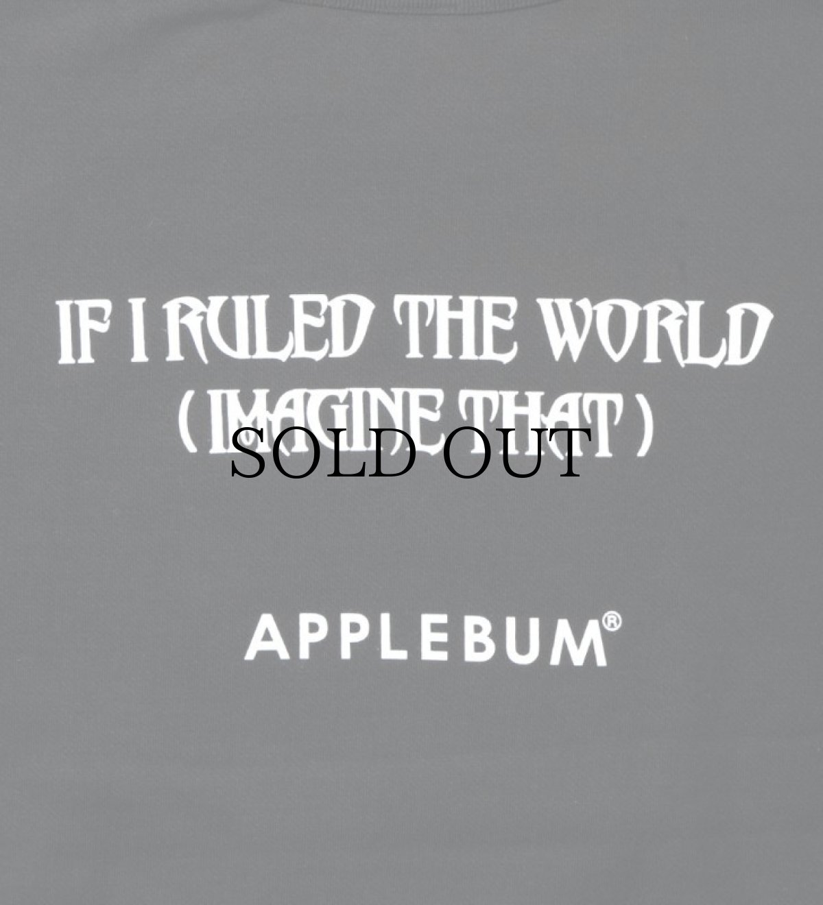 画像5: APPLEBUM / “Nas” Photo Crew Sweat (5)