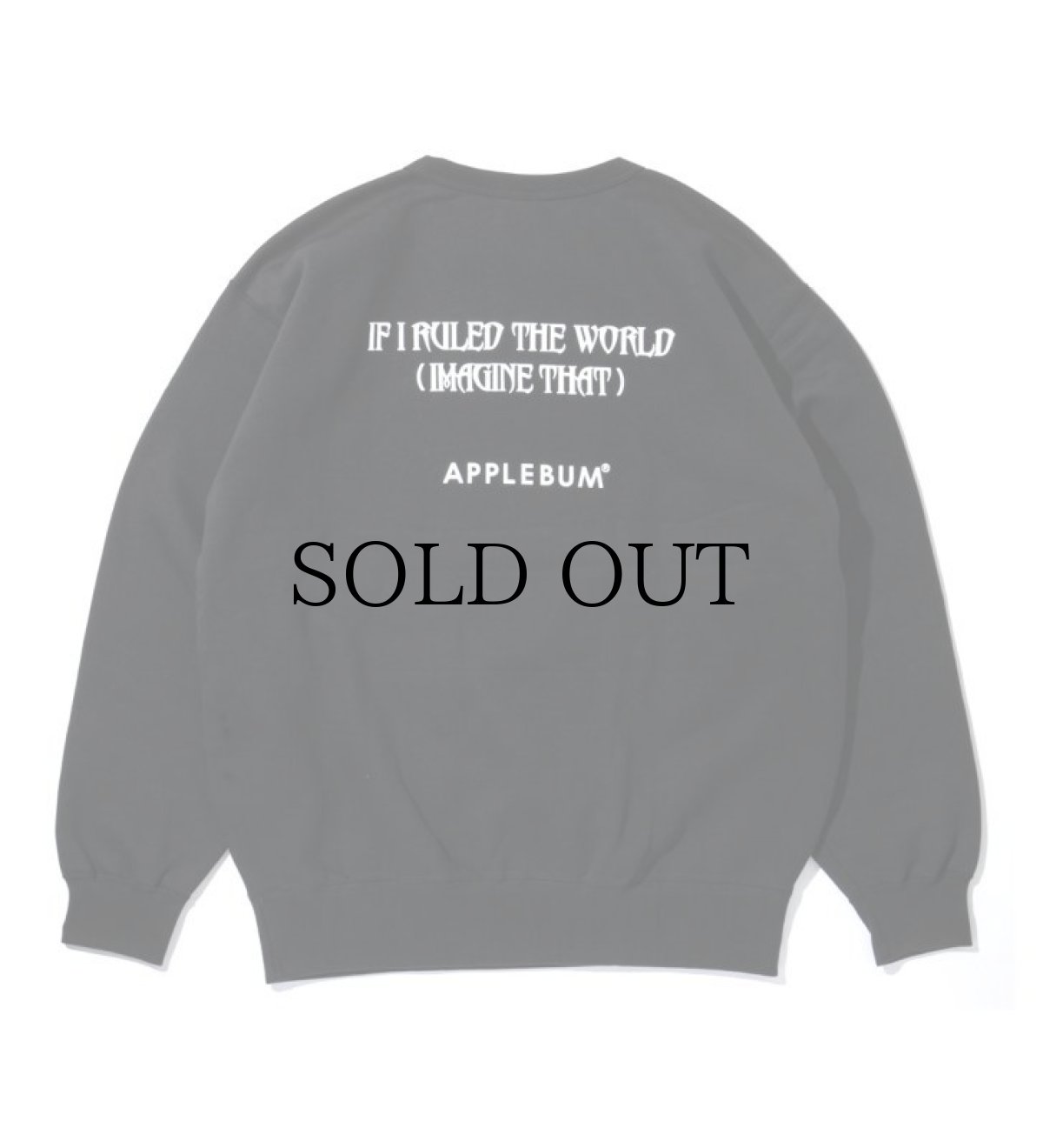 画像2: APPLEBUM / “Nas” Photo Crew Sweat (2)