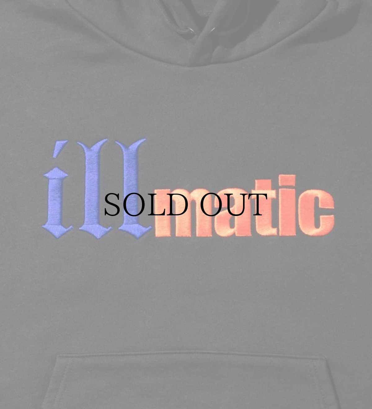 画像3: APPLEBUM / “illmatic” Sweat Parka (3)