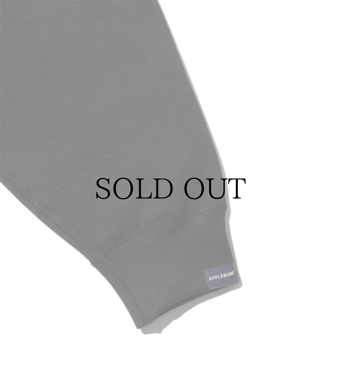 画像7: APPLEBUM / “Nas” Photo Crew Sweat (7)