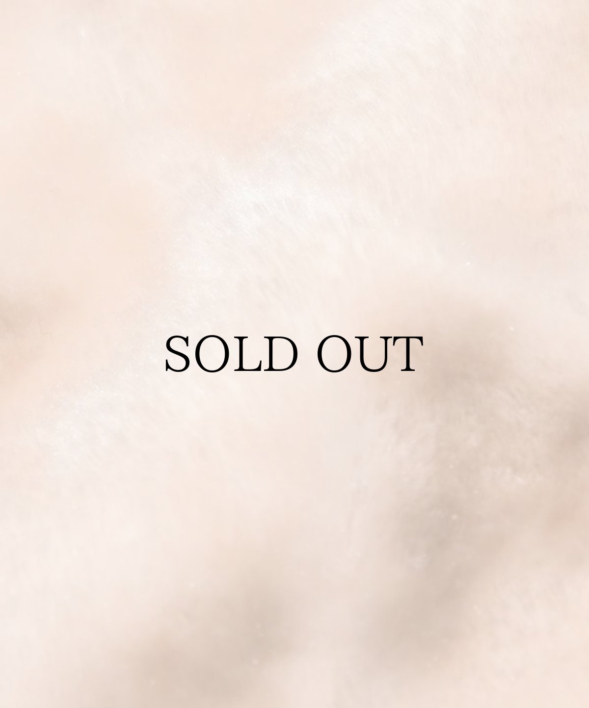 画像6: EL REIGN / "THE WORLD IS YOURS" COACH JACKET (6)