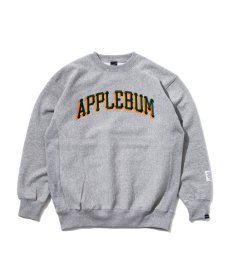 画像2: APPLEBUM(アップルバム) / Pirates Logo Crew Sweat (2)