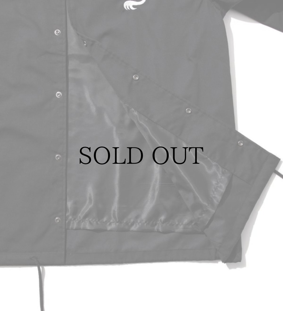 画像12: APPLEBUM(アップルバム) / "APPLEBUM × CRSB raidback fabric" Coach Jacket (12)