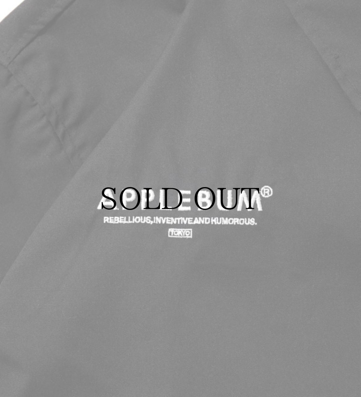 画像4: APPLEBUM(アップルバム) / "APPLEBUM × CRSB raidback fabric" Coach Jacket (4)