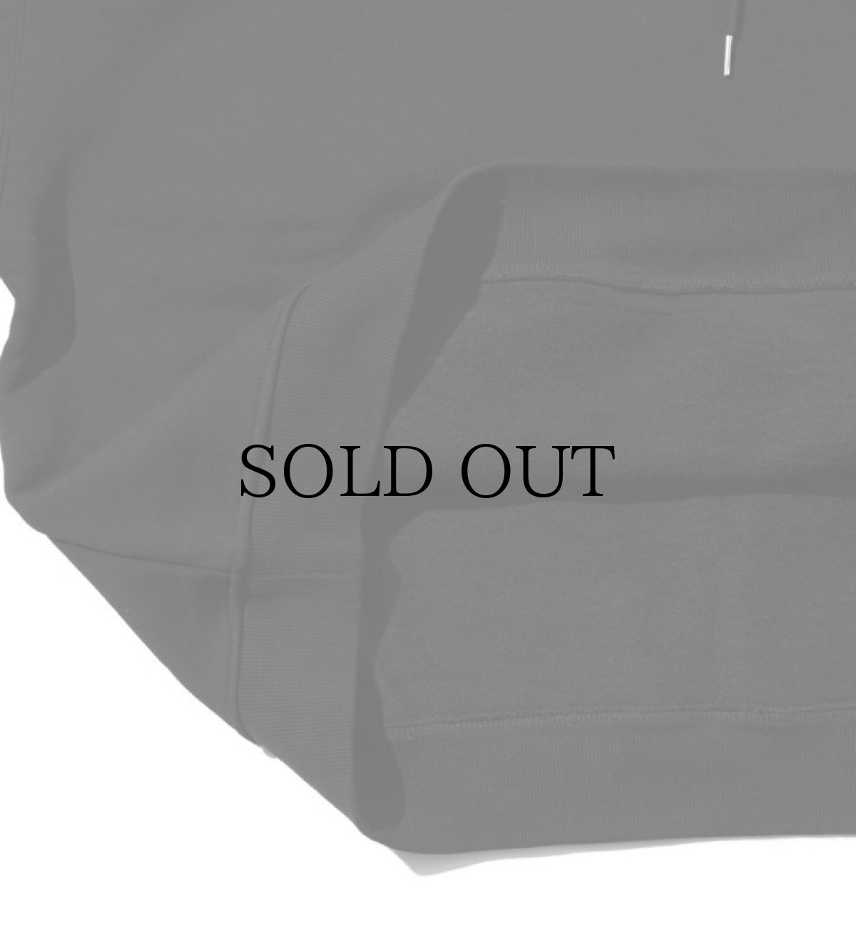 画像14: APPLEBUM(アップルバム) / "APPLEBUM × CRSB raidback fabric" Oversize Sweat Parka (14)