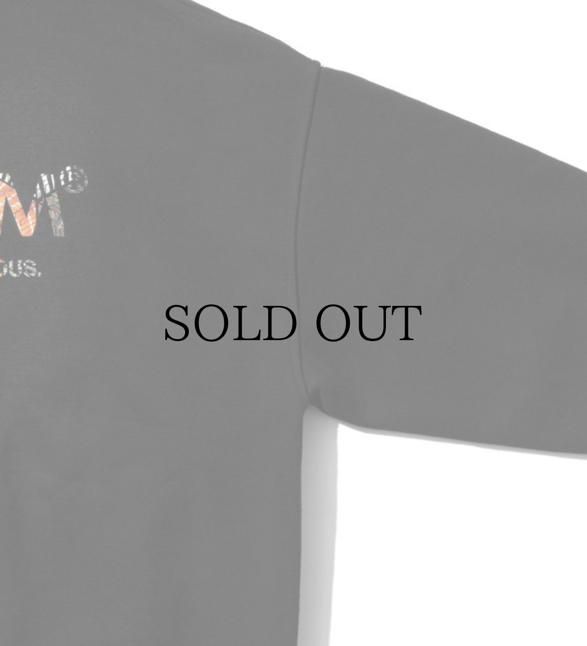 画像7: APPLEBUM(アップルバム) / "APPLEBUM × CRSB raidback fabric" Oversize Crew Sweat (7)