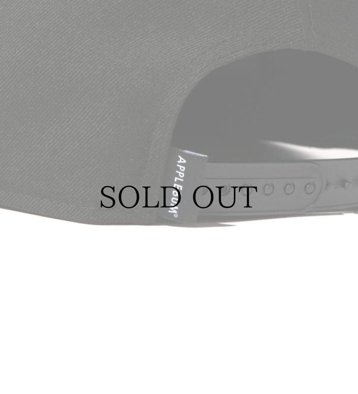 画像12: APPLEBUM(アップルバム) / 9FIFTY "Nas" (12)