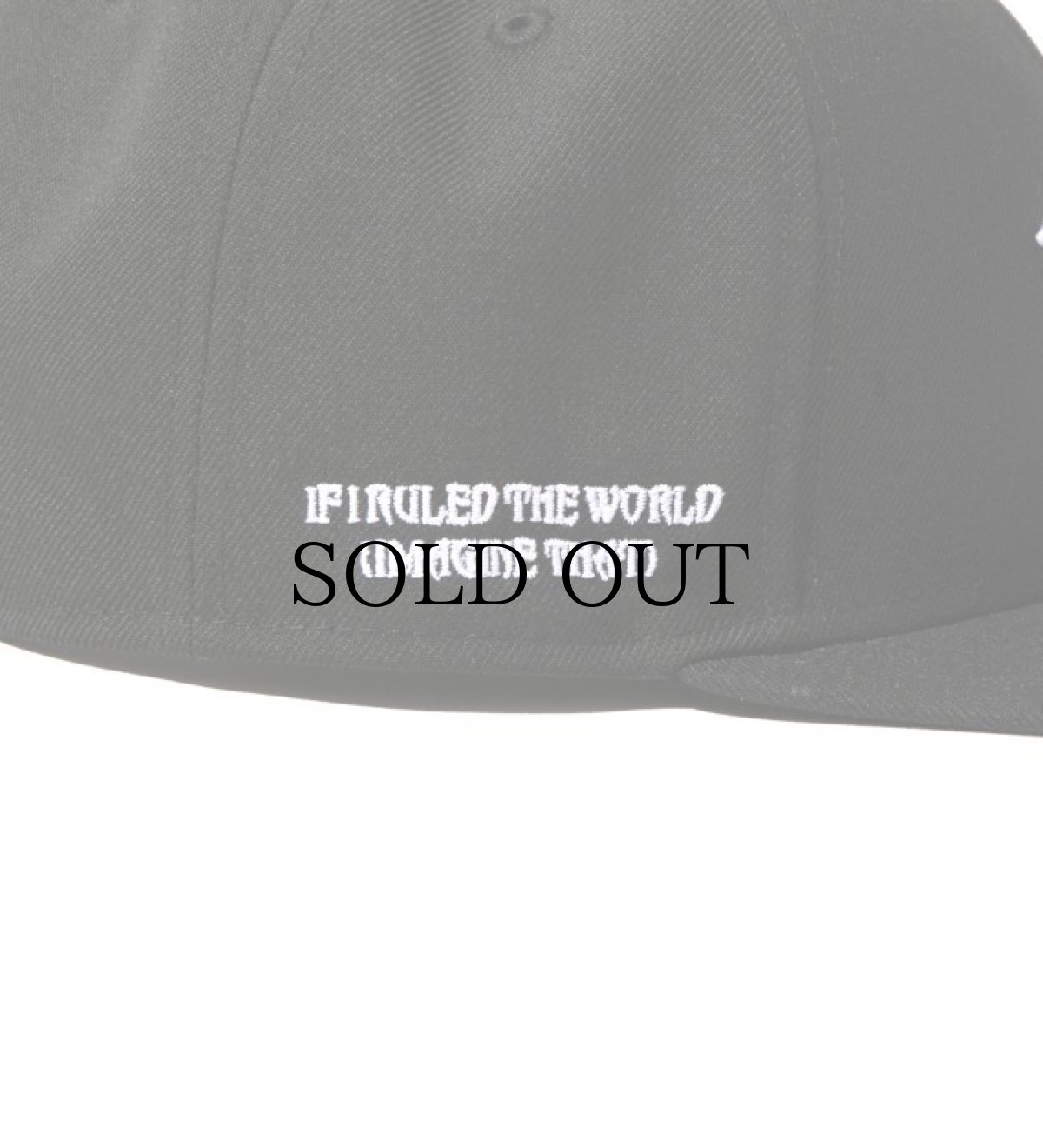 画像11: APPLEBUM(アップルバム) / 9FIFTY "Nas" (11)