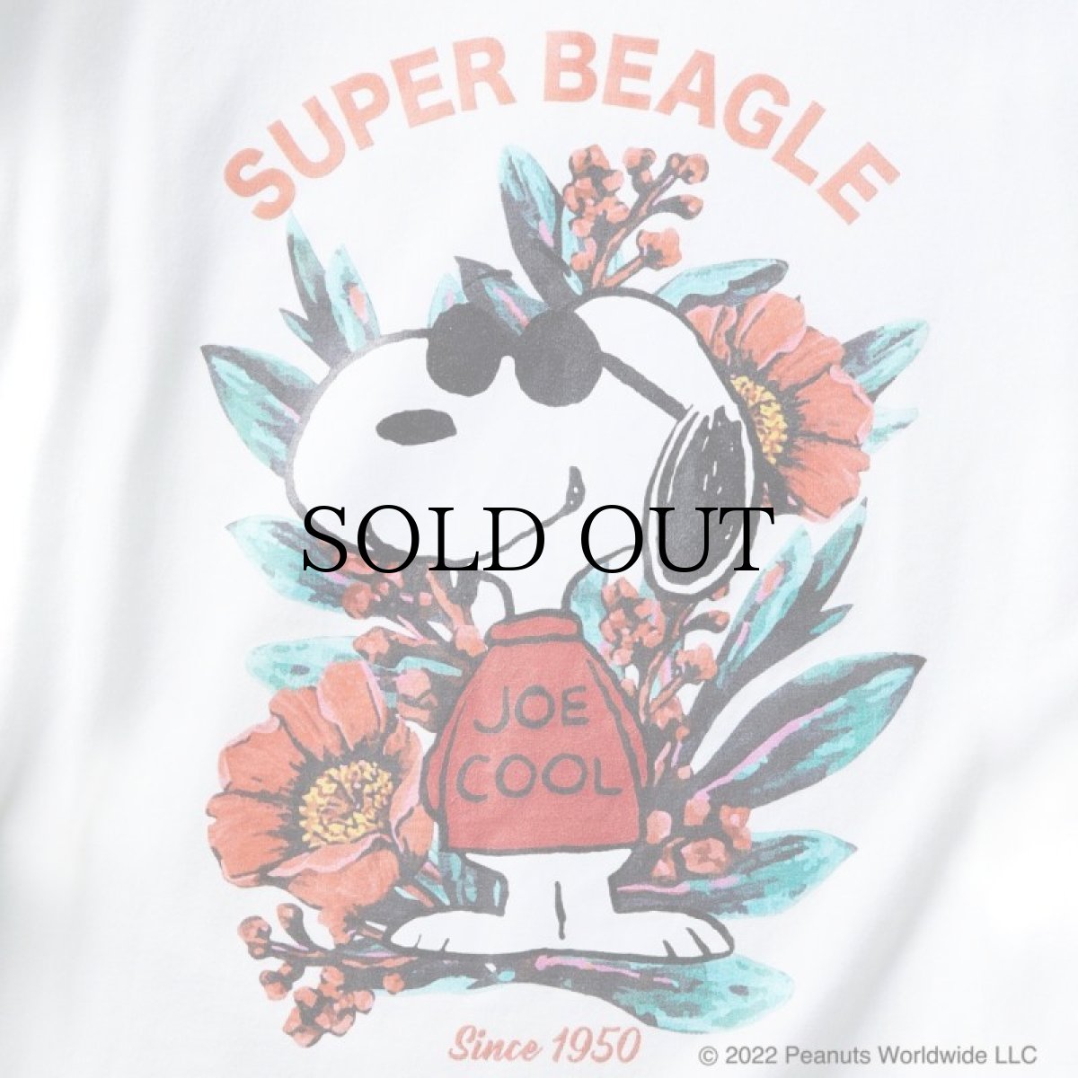 画像3: CALEE / PEANUTS L/S T-shirt -WHITE- (3)