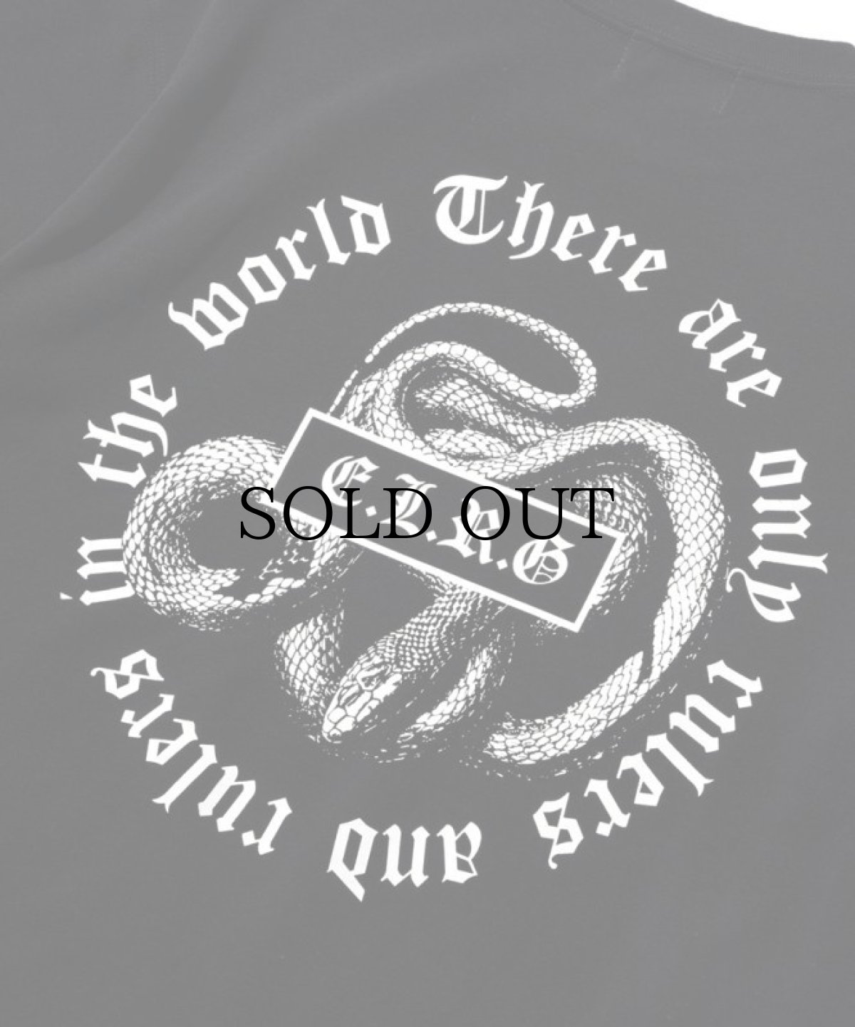 画像6: EL REIGN / REMAKE SNAKE TEE (6)