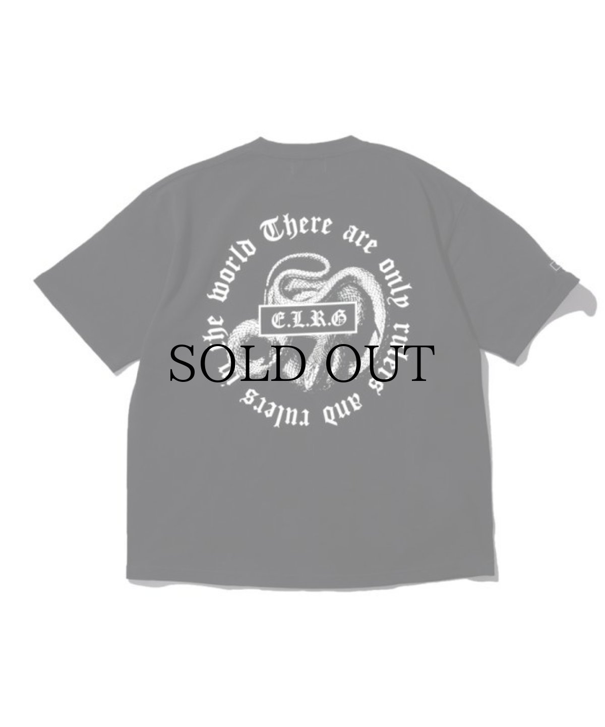 画像2: EL REIGN / REMAKE SNAKE TEE (2)