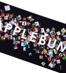 画像2: APPLEBUM(アップルバム) / "Vinyl Logo" Sticker (2)