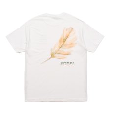 画像7: 【50%OFF】ACAPULCO GOLD / MOOD TEE (7)