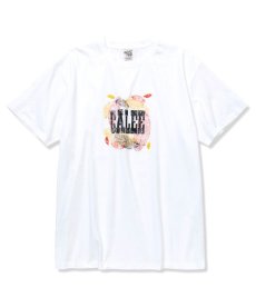画像1: CALEE(キャリー) / Stretch calee feather logo t-shirt (1)