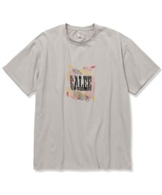 画像3: CALEE(キャリー) / Stretch calee feather logo t-shirt (3)