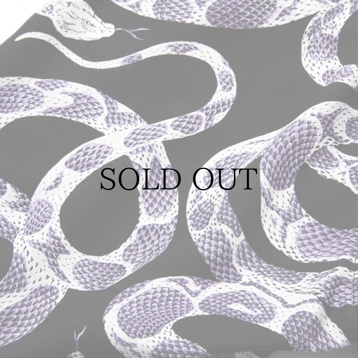 画像7: CALEE(キャリー) / Allover snake pattern easy shorts (7)