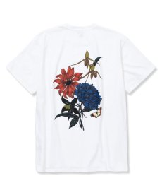 画像1: CALEE(キャリー) / ×Miho Murakami Stretch flower pattern t-shirt (1)